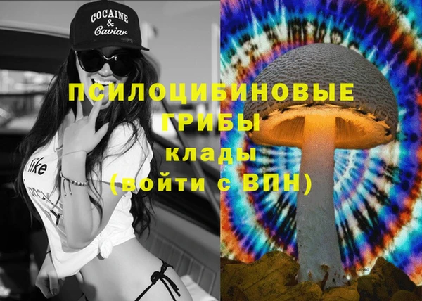 скорость mdpv Белокуриха