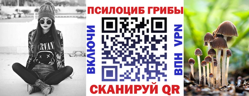 кракен ТОР  Заозёрск  Галлюциногенные грибы мицелий  закладки 